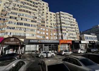 Сдаю в аренду офис, 110 м2, Пензенская область, улица Пушкина, 15