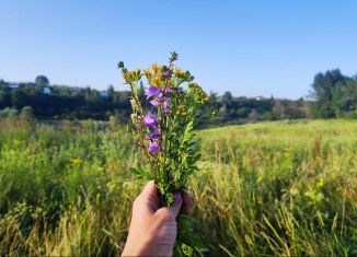 Продажа участка, 18 сот., село Девица