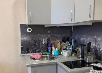 Сдается квартира студия, 25 м2, Татарстан, улица Димитрова, 8