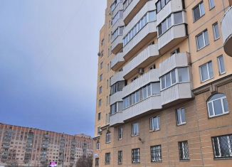 Продается двухкомнатная квартира, 53 м2, Санкт-Петербург, проспект Большевиков, 30к1, метро Улица Дыбенко