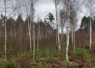 Участок на продажу, 19.9 сот., деревня Раздолье