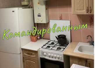 Аренда двухкомнатной квартиры, 45 м2, Новомосковск, улица Чапаева, 12А