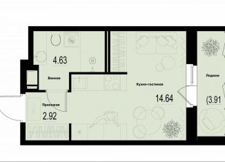 Продается квартира студия, 24.1 м2, Мурино