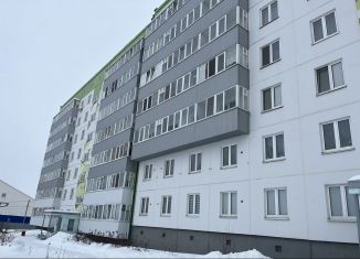 Продаю квартиру студию, 24 м2, село Фролы, Весенняя улица, 34