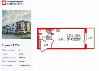 Квартира на продажу студия, 24.6 м2, Санкт-Петербург, метро Звёздная