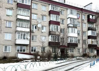 Продажа однокомнатной квартиры, 31 м2, посёлок городского типа Васильево, Спортивная улица, 22