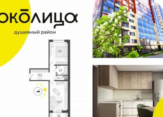 Продам 2-комнатную квартиру, 49.1 м2, посёлок Садовый, микрорайон Околица, 13С