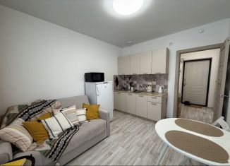 Квартира на продажу студия, 23 м2, Екатеринбург, Хрустальногорская улица, 93