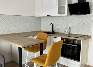 Аренда квартиры студии, 23.5 м2, Котельники, ЖК Белая Дача Парк, микрорайон Парковый, 1к7