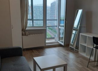 Сдается квартира студия, 26 м2, поселок Бугры, Воронцовский бульвар, 11к1, ЖК Светлановский