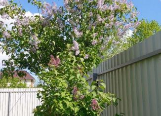 Дача на продажу, 20 м2, СНТ Клён, СНТ Клён, 428