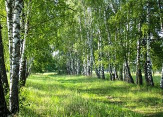 Продается земельный участок, 12 сот., село Черкизово, Советская улица