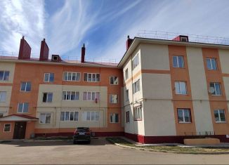 Однокомнатная квартира на продажу, 34.1 м2, село Киргиз-Мияки, Школьная улица, 1