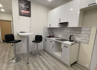 Сдам в аренду квартиру студию, 27 м2, Мытищи, улица Борисовка, 26, ЖК Ярославский