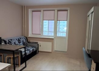 Сдам квартиру студию, 24 м2, Мурино, Екатерининская улица, 12, ЖК Три кита