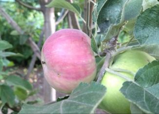 Дача на продажу, 20 м2, разъезд №17