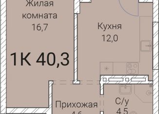 Продаю 1-комнатную квартиру, 40.3 м2, Новосибирск, Заельцовский район, Овражная улица, 2А
