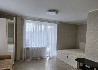 Пятикомнатная квартира в аренду, 304 м2, Санкт-Петербург, улица Бутлерова, 14, Калининский район