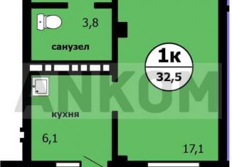 Продам 1-комнатную квартиру, 32.5 м2, Красноярск, проспект Машиностроителей, 35, Ленинский район