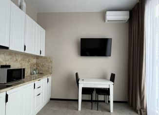 Квартира в аренду студия, 21 м2, Сочи, Пятигорская улица, 72А, микрорайон Светлана