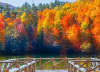 Продажа дома, 20 м2, посёлок Нагорный, Нагорная улица