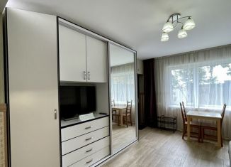 Сдается в аренду квартира студия, 25 м2, Сочи, Миндальная улица, 20/17