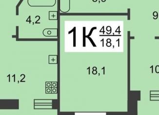 Продажа однокомнатной квартиры, 43.5 м2, Нижний Новгород, проспект Ильича, 39к2, метро Парк Культуры