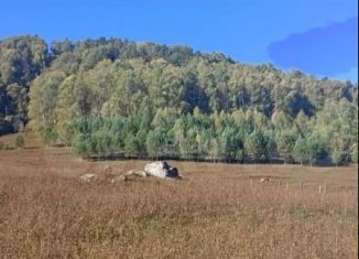 Продажа участка, 13 сот., село Бирюля