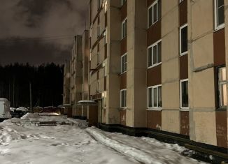 Продаю трехкомнатную квартиру, 68.8 м2, Ленинградская область, деревня Лаврики, 40Е