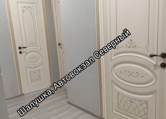Продается 1-комнатная квартира, 46 м2, село Шалушка, улица Ленина