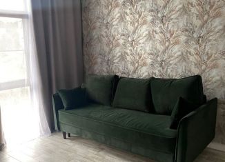 Однокомнатная квартира в аренду, 36 м2, Сочи, садоводческое некоммерческое товарищество Агро, 193/1, микрорайон Яна Фабрициуса