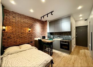 Продается квартира студия, 19.2 м2, Санкт-Петербург, ЖК Нью Тайм, Планерная улица, 97к1