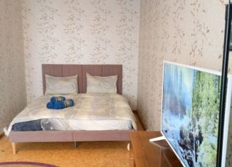 Сдается в аренду 1-комнатная квартира, 41 м2, Москва, Зеленоград, к1425