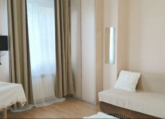 Сдается квартира студия, 29 м2, Сочи, улица Яна Фабрициуса, 293, микрорайон Яна Фабрициуса