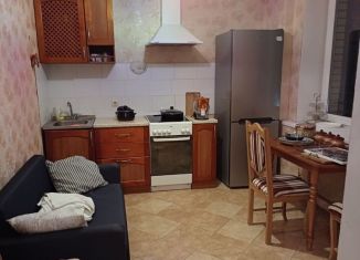 Сдача в аренду 1-ком. квартиры, 40 м2, Санкт-Петербург, улица Ушинского, 2к1, муниципальный округ Прометей