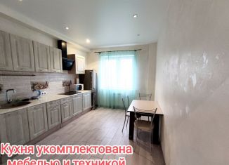 Продажа 1-комнатной квартиры, 43 м2, Санкт-Петербург, проспект Королёва, 69, ЖК Каменка