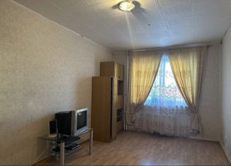 Продается 1-ком. квартира, 47 м2, Екатеринбург, улица Барвинка, 47, улица Барвинка