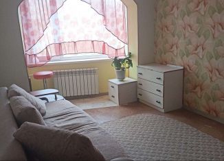 Аренда 1-комнатной квартиры, 29 м2, Петропавловск-Камчатский, Туристический проезд, 28
