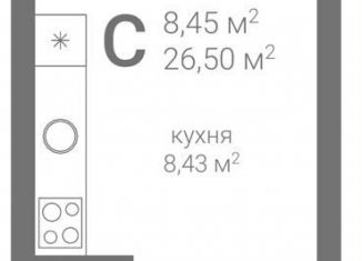 Квартира на продажу студия, 26.5 м2, Нижегородская область, 2-я Оранжерейная улица, 6А