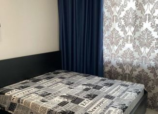 Сдача в аренду квартиры студии, 27 м2, Мурино, проспект Авиаторов Балтики, ЖК Охтинская Дуга