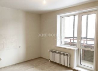 Продам квартиру студию, 24.2 м2, Новосибирск, Красный проспект, 331, ЖК Инфинити