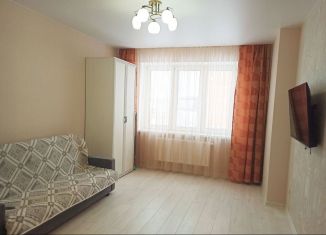 1-комнатная квартира в аренду, 42 м2, Тула, Новомосковская улица, 14
