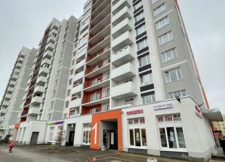 Сдаю в аренду квартиру студию, 24 м2, посёлок Шушары, Московское шоссе, 250