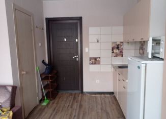 Сдаю квартиру студию, 18 м2, Красноярский край, улица Калинина, 10