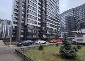 Продается квартира студия, 26.6 м2, Мурино, Екатерининская улица, 22к2