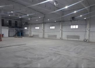 Сдаю в аренду помещение свободного назначения, 871.9 м2, Салават, Колхозная улица, 42