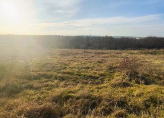 Продам земельный участок, 10 сот., поселок городского типа Зуя, Каштановая улица