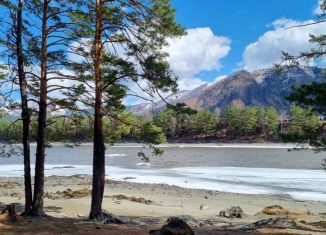 Продается участок, 77 сот., село Аюла, Центральная улица