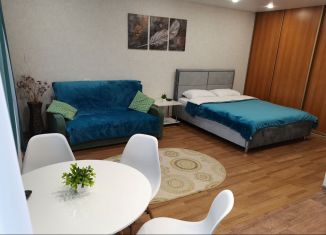 Аренда квартиры студии, 34 м2, Рязань, площадь Димитрова, 3