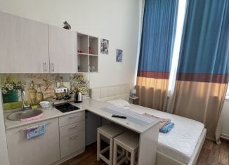 Продаю квартиру студию, 20 м2, Красноярск, улица Партизана Железняка, 40Б